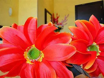Memole Inn Sanremo